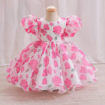 The Rose Garden Princess Dress