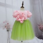 Blush Bloom Meadow Dress